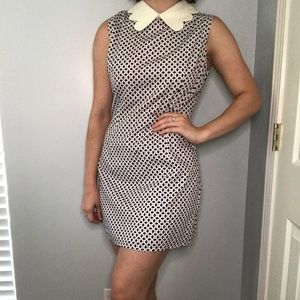 Ducks In a Row dress w/ Peter Pan collar ModCloth